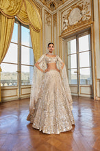 Load image into Gallery viewer, Rose Gold Mirror Work Lehenga Set
