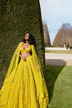 Load image into Gallery viewer, Yellow Sequin Lehenga Set
