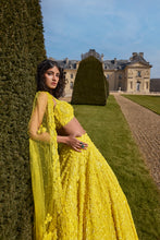 Load image into Gallery viewer, Yellow Sequin Lehenga Set
