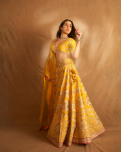 Load image into Gallery viewer, Golconda Anha Lehenga set
