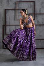 Load image into Gallery viewer, Purple embroidered blouse, banarsi lehenga and dupatta
