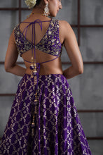 Load image into Gallery viewer, Purple embroidered blouse, banarsi lehenga and dupatta
