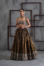 Load image into Gallery viewer, Brown embroidered blouse, lehenga and dupatta
