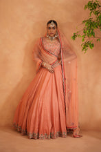 Load image into Gallery viewer, Coral embroidery blouse, Brocade lehnaga and dupatta
