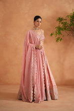 Load image into Gallery viewer, Pink embroidered blouse, lehenga and dupata
