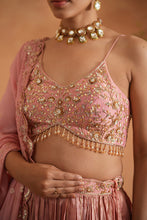 Load image into Gallery viewer, Pink embroidered blouse, lehenga and dupata
