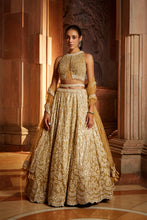 Load image into Gallery viewer, GOLD TULLE LEHENGA CHOLI DUPATTA SET WITH WORKED BELT
