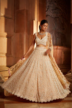 Load image into Gallery viewer, NUDE PINK TULLE LEHENGA CHOLI DUPATTA SET WITH WORKED BELT
