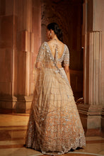 Load image into Gallery viewer, MUSHROOM OMBRE DYED ORGANZA LEHENGA CHOLI SET WITH TULLE DUPATTA
