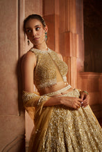 Load image into Gallery viewer, GOLD TULLE LEHENGA CHOLI DUPATTA SET WITH WORKED BELT
