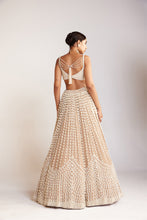 Load image into Gallery viewer, Beige Chandelier Pearl Sweetheart Neck Lehenga Set
