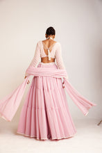 Load image into Gallery viewer, Powder Pink Sharara Set
