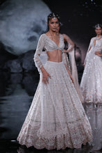 Load image into Gallery viewer, Paired with pearl and mukaish choli and  Embroidered shimmer Tulle dupatta
