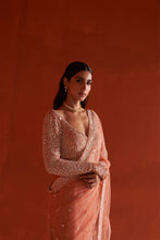 Load image into Gallery viewer, Pastel Orange Net Saree
