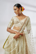 Load image into Gallery viewer, Rashi Lehenga Set
