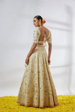 Load image into Gallery viewer, Rashi Lehenga Set
