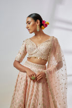 Load image into Gallery viewer, Anaya Lehenga Set
