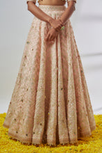 Load image into Gallery viewer, Anaya Lehenga Set
