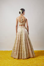 Load image into Gallery viewer, Roma Lehenga Set
