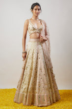 Load image into Gallery viewer, Roma Lehenga Set
