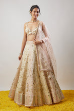 Load image into Gallery viewer, Roma Lehenga Set
