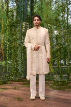 Load image into Gallery viewer, Tejas- The Regal Ivory
