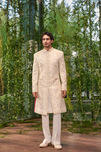 Load image into Gallery viewer, Tejas- The Regal Ivory
