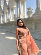 Load image into Gallery viewer, Beige embroidered fishtil lehenga with drape dupatta

