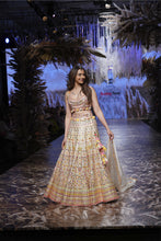 Load image into Gallery viewer, Rakulpreet Lehenga Set
