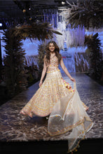 Load image into Gallery viewer, Rakulpreet Lehenga Set
