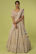 Load image into Gallery viewer, Mouse velvet intricate hand embroidered lehenga
