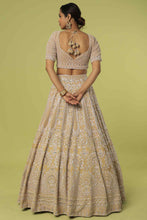 Load image into Gallery viewer, Mouse velvet intricate hand embroidered lehenga
