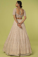 Load image into Gallery viewer, Peach net cut dana, pearl and sequins embroidered lehenga
