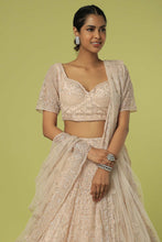 Load image into Gallery viewer, Peach net cut dana, pearl and sequins embroidered lehenga
