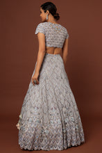 Load image into Gallery viewer, Grey net Resham, cut dana, sequins embroidered lehenga
