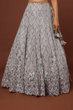 Load image into Gallery viewer, Grey net Resham, cut dana, sequins embroidered lehenga
