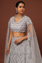 Load image into Gallery viewer, Grey net Resham, cut dana, sequins embroidered lehenga
