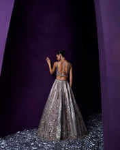 Load image into Gallery viewer, Grey Organza Lehenga Set
