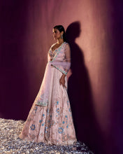 Load image into Gallery viewer, Peach Net Lehenga Set
