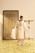 Load image into Gallery viewer, Straight kurta with crushed silk skirt and crushed dupatta
