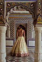 Load image into Gallery viewer, GOLD WOVEN BENARSI LEHENGA WITH RED BORDER AND RED RAW SILK CHOLI AND A RED NET JAAL DUPATTA AND AN OPTIONAL SECOND DUPATTA
