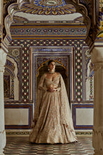 Load image into Gallery viewer, CHAMPAGNE GOLD NET LEHENGA CHOLI AND DUPATTA WITH AN OPTIONAL WORKED BELT AND HEAD VEIL.
