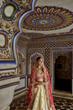 Load image into Gallery viewer, GOLD WOVEN BENARSI LEHENGA WITH RED BORDER AND RED RAW SILK CHOLI AND A RED NET JAAL DUPATTA AND AN OPTIONAL SECOND DUPATTA
