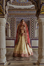 Load image into Gallery viewer, GOLD WOVEN BENARSI LEHENGA WITH RED BORDER AND RED RAW SILK CHOLI AND A RED NET JAAL DUPATTA AND AN OPTIONAL SECOND DUPATTA
