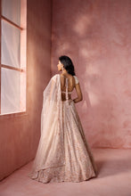 Load image into Gallery viewer, BLUSH PINK NET LEHENGA SET
