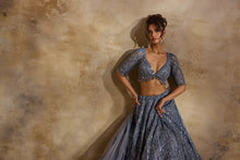 Load image into Gallery viewer, STONE GREY NET LEHENGA SET

