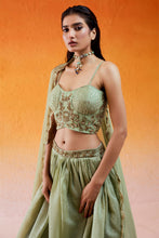 Load image into Gallery viewer, Pista Green Embroidered Lehenga Set
