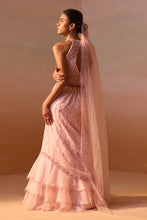 Load image into Gallery viewer, SOFT PINK  ORGANZA LAYERED SKIRT SET
