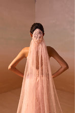 Load image into Gallery viewer, SOFT PINK  ORGANZA LAYERED SKIRT SET
