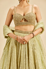 Load image into Gallery viewer, OLIVE GREEN GEOMATRICAL DESIGN LEHENGA
